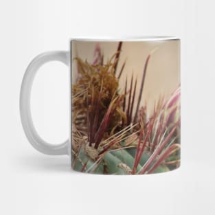Closeup of Bud on Barrel Cactus Mug